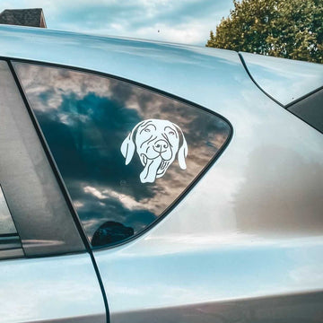 DECAL